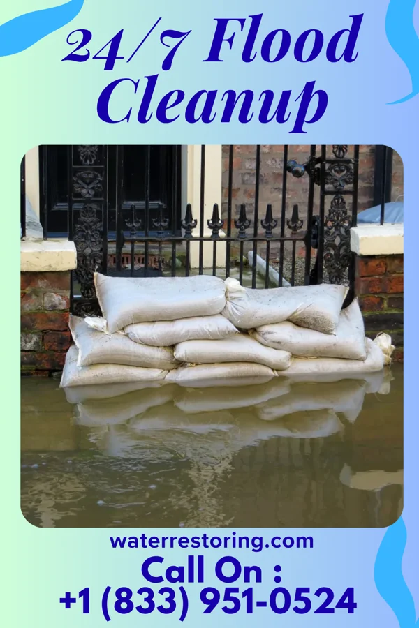 24/7 Flood Cleanup in Brinckerhoff, NY