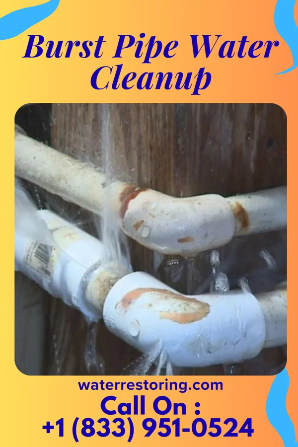 Burst Pipe Water Cleanup in Brinckerhoff, NY