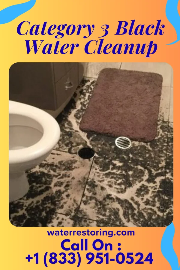 Category 3 Black Water Cleanup in Brinckerhoff, NY