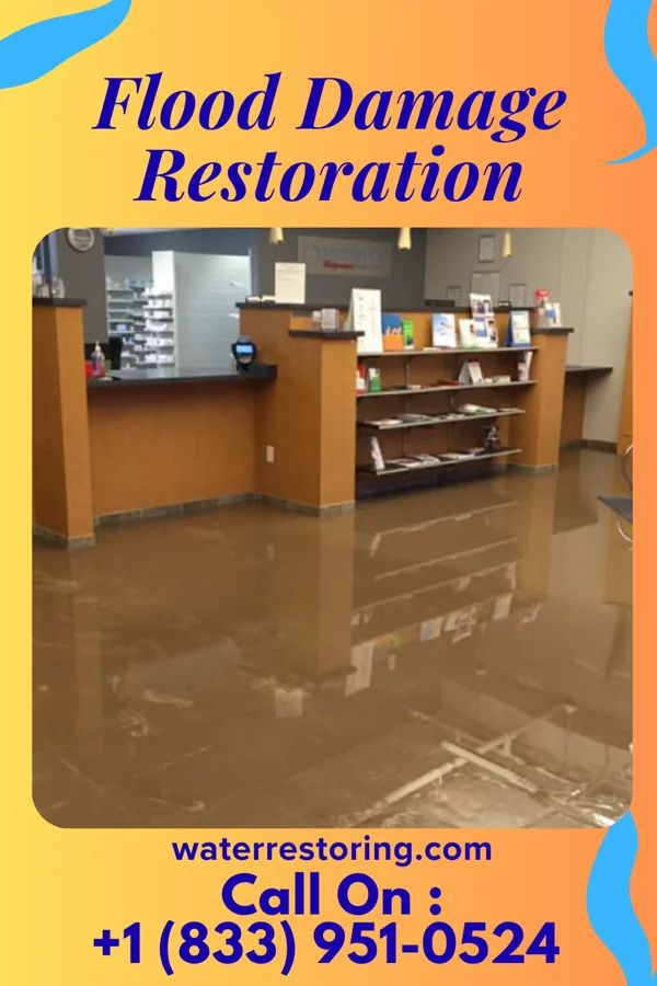 Flood Damage Restoration in Brinckerhoff, NY