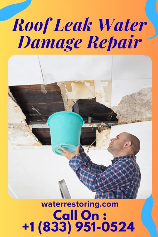 Roof Leak Water Damage Repair in Brinckerhoff, NY