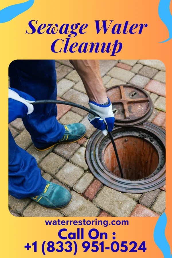 Sewage Water Cleanup in Brinckerhoff, NY