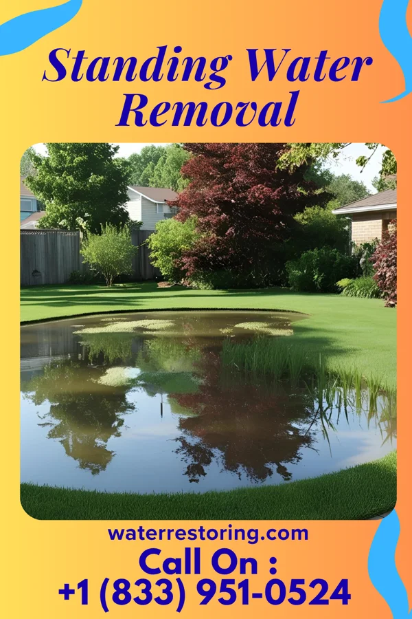 Standing Water Removal in Brinckerhoff, NY